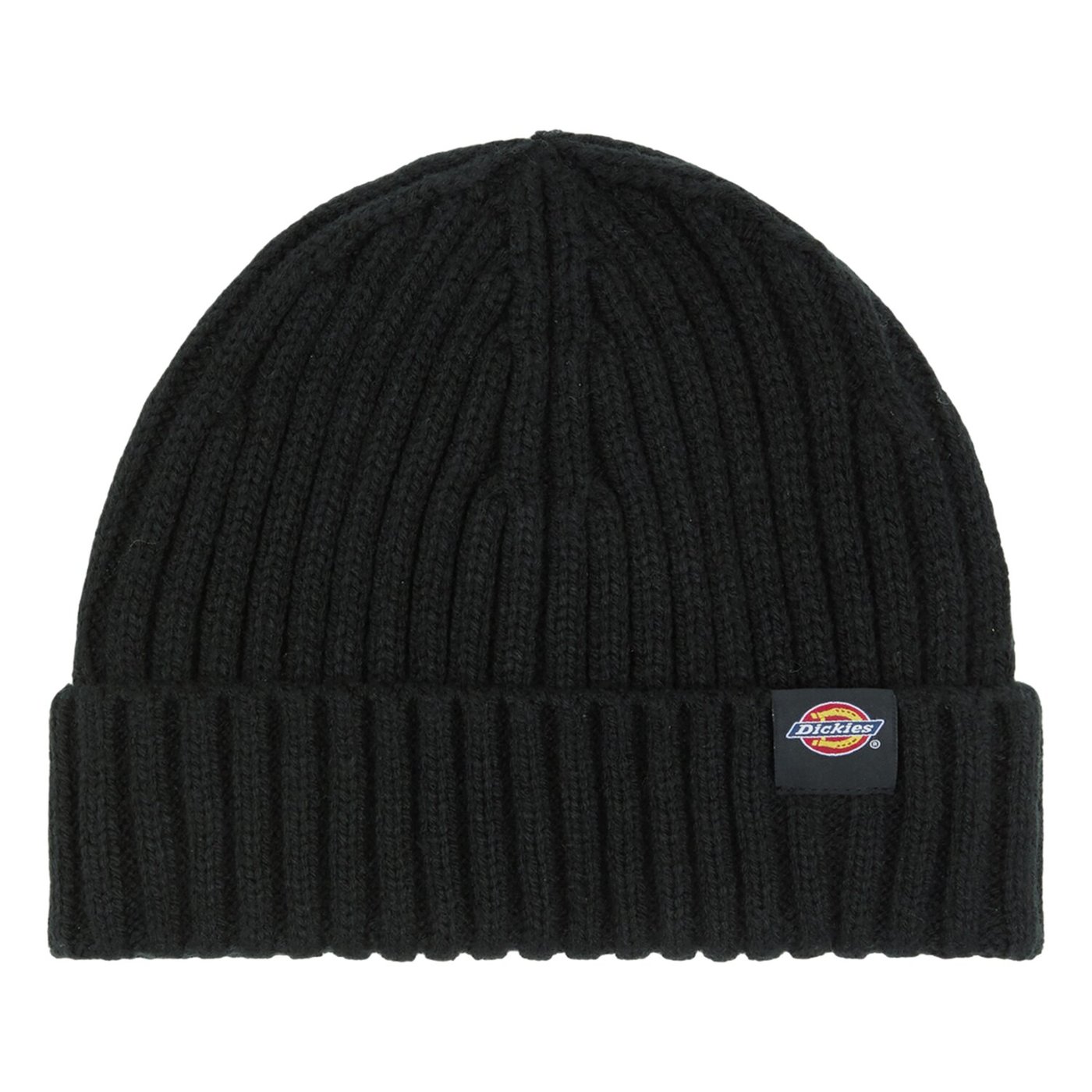 Dickies Dickies Lockwood beanie black