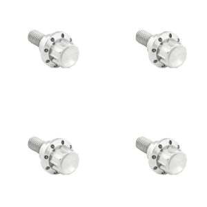 Arlen Ness Arlen Ness, titanium 12-point windshield bolt kit. Polished