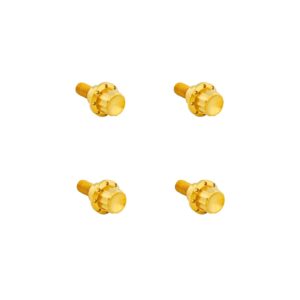 Arlen Ness Arlen Ness, titanium 12-point windshield bolt kit. Gold