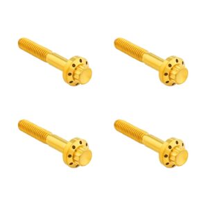 Arlen Ness Arlen Ness, titanium 12-point front fender bolt kit. Gold