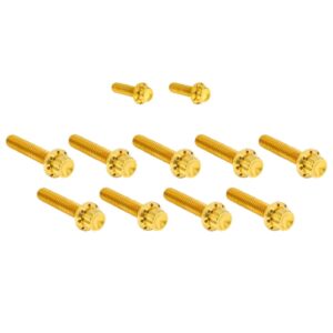 Arlen Ness Arlen Ness, titanium 12-point cam/point cover bolt kit. Gold