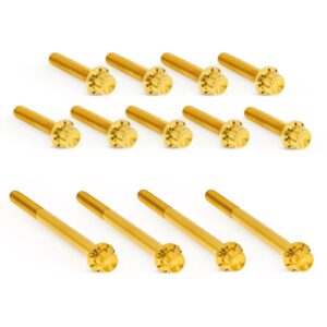 Arlen Ness Arlen Ness, titanium 12-point primary cover bolt kit. Gold
