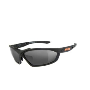 Helly Helly Biker Bikereyes shades smoke lens