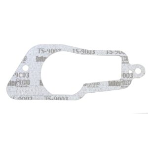 Athena Athena, gasket starter shaft housing. .031"