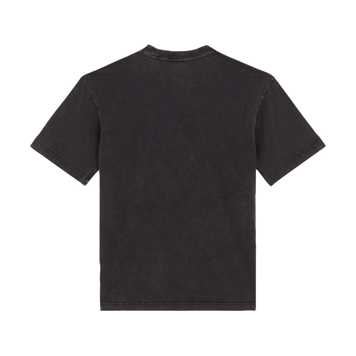 Dickies Dickies Plentywood t-shirt acid wash black - Image 2