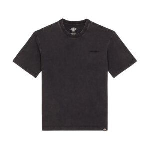 Dickies Dickies Plentywood t-shirt acid wash black